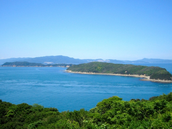 画像4