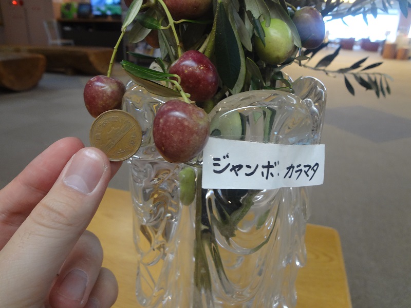 画像2