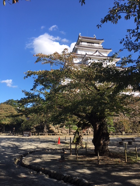 画像1