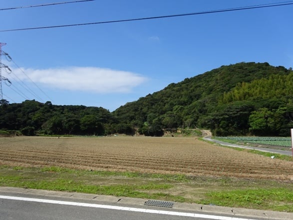 画像2