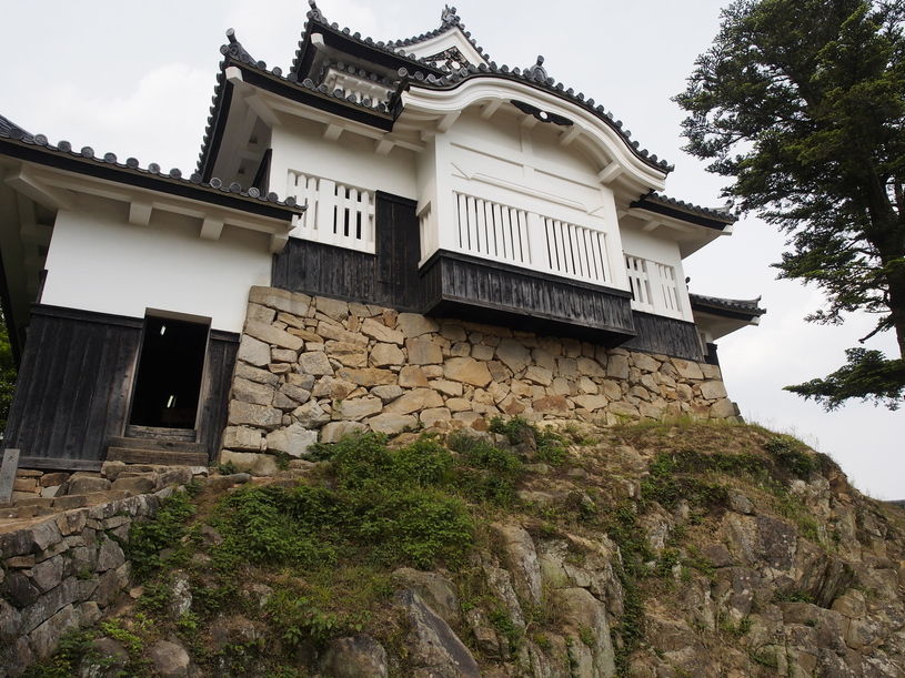 画像4