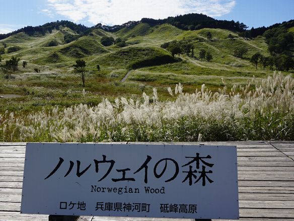 画像1