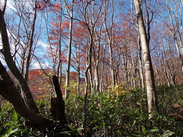 画像3