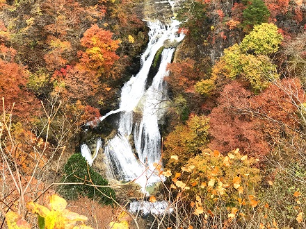 画像5