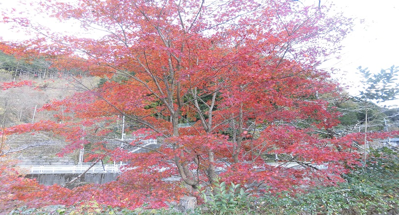 画像2