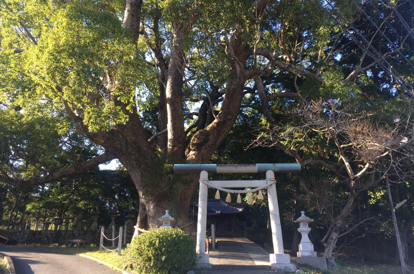 画像2
