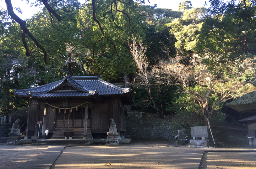 画像5