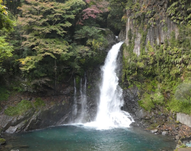 画像4
