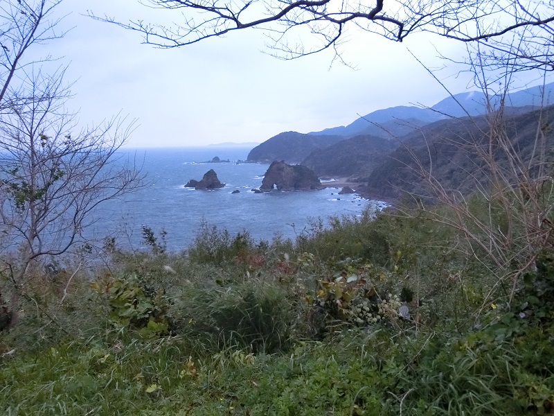 画像4