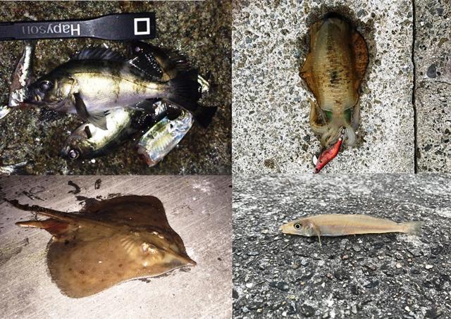 画像1