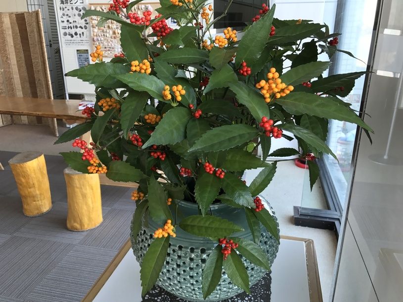画像4