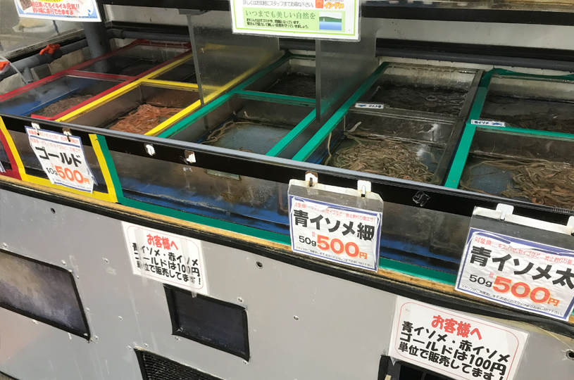 画像3