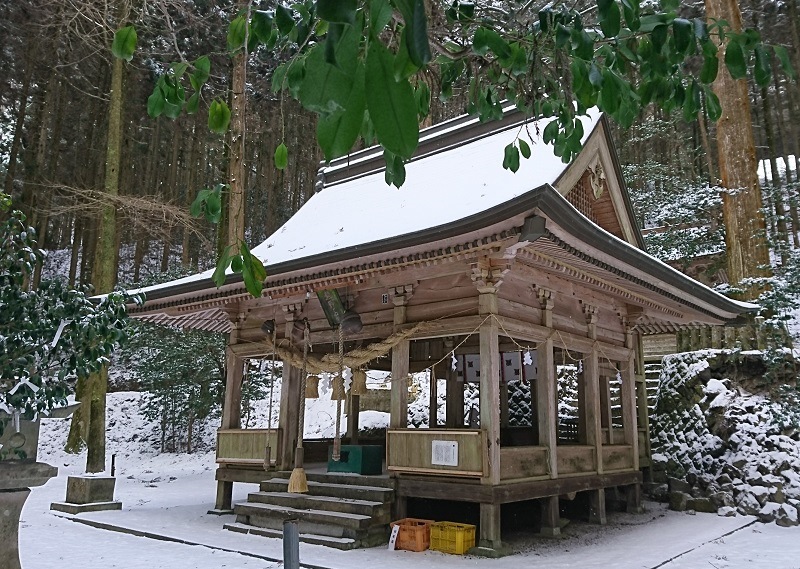 画像4