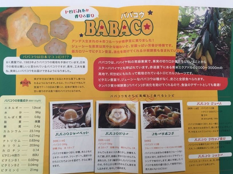 画像3