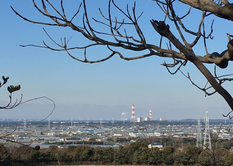 画像1