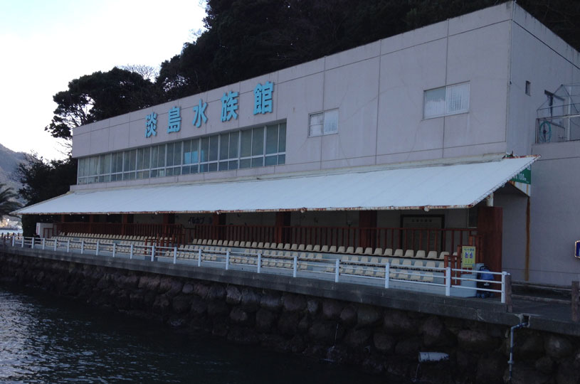画像1