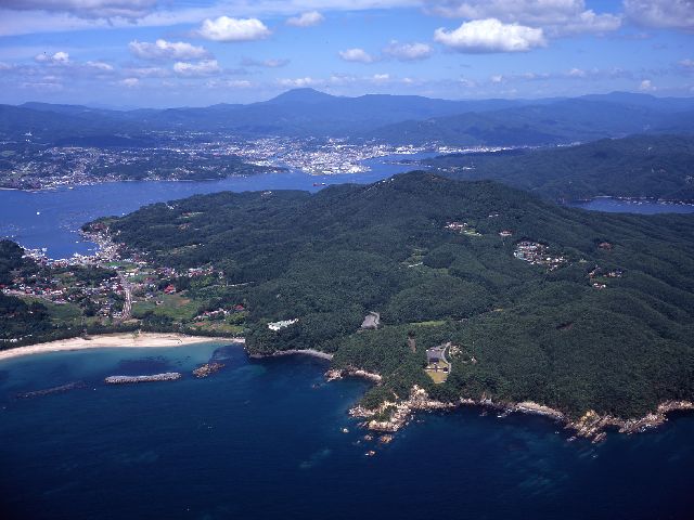 画像4
