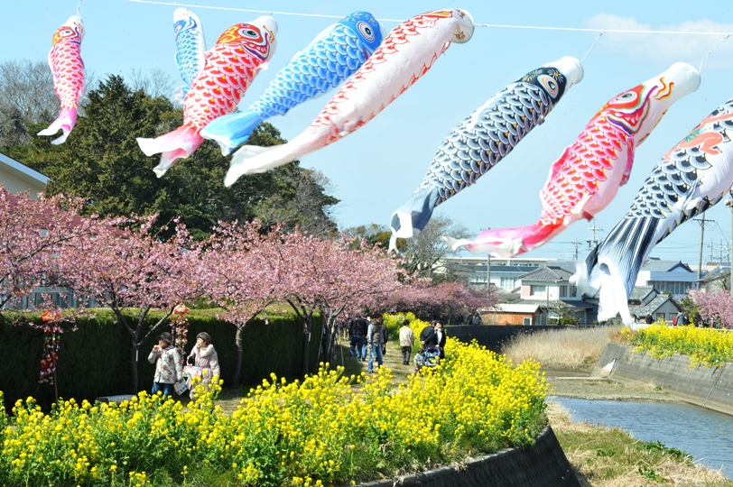 画像4