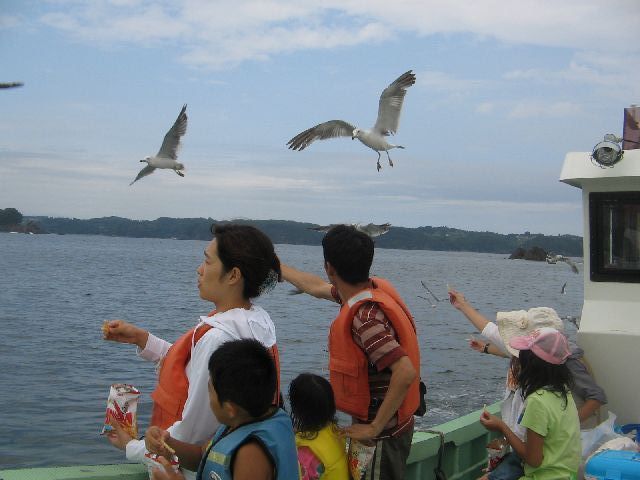 画像5