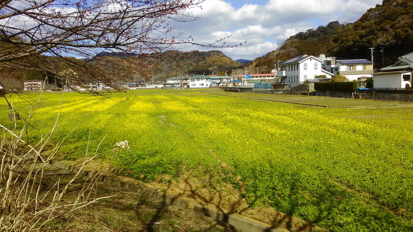 画像3