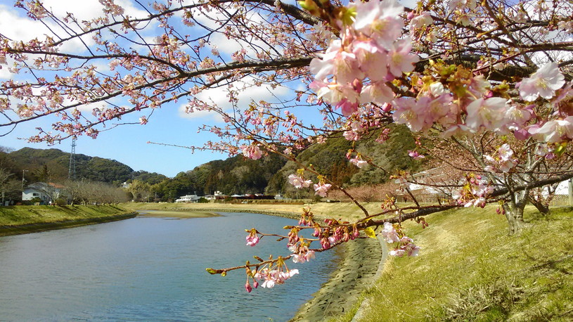 画像2