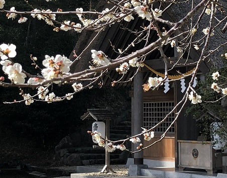 画像1