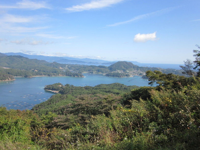 画像4
