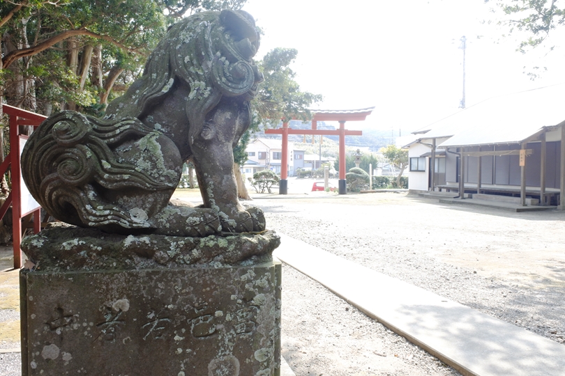 画像4