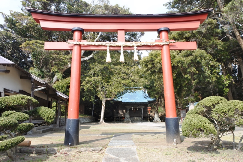 画像5