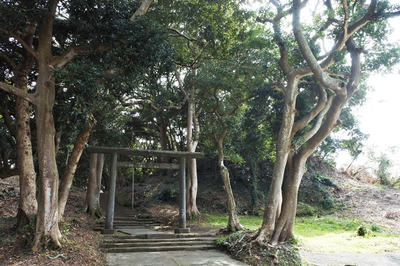 画像2
