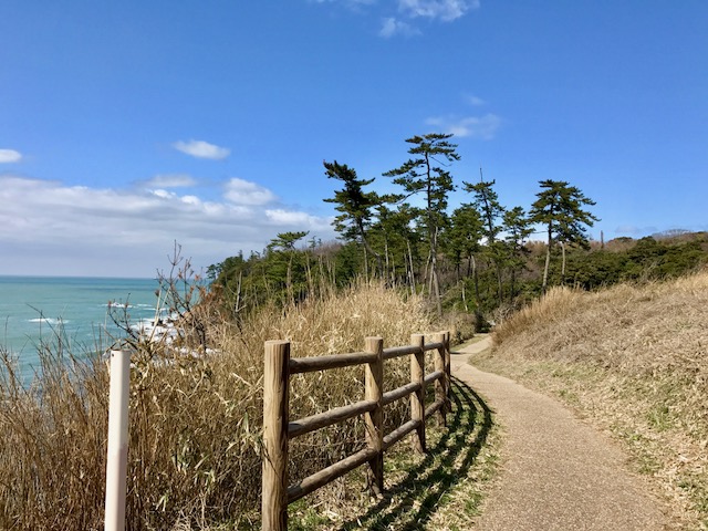 画像4