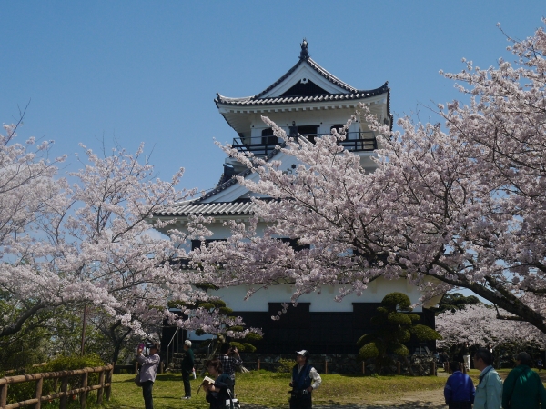 画像2
