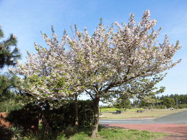画像2
