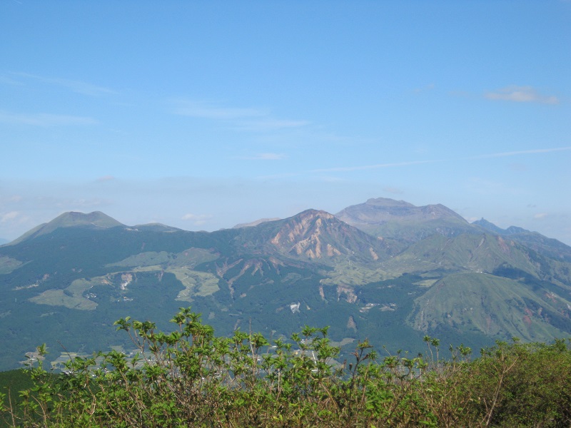 画像5