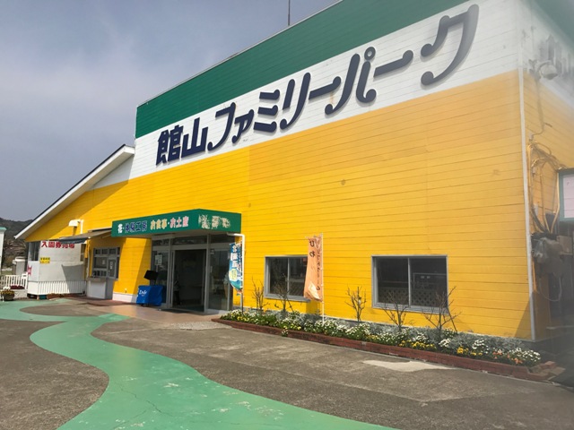 画像4