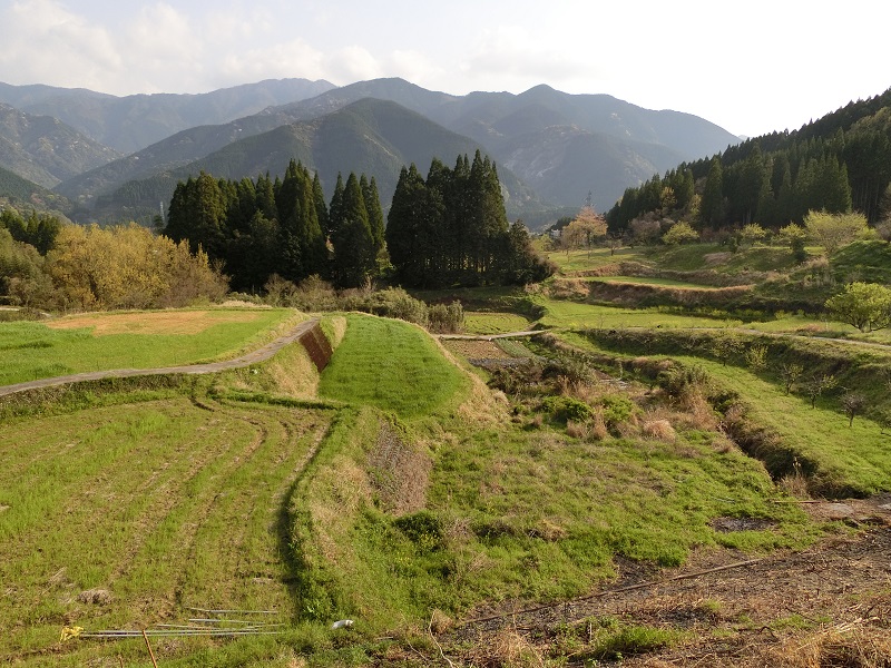 画像4