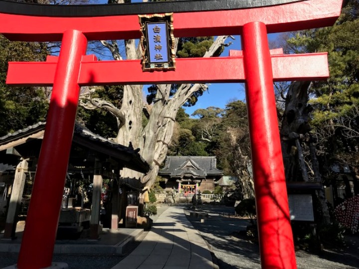 画像1