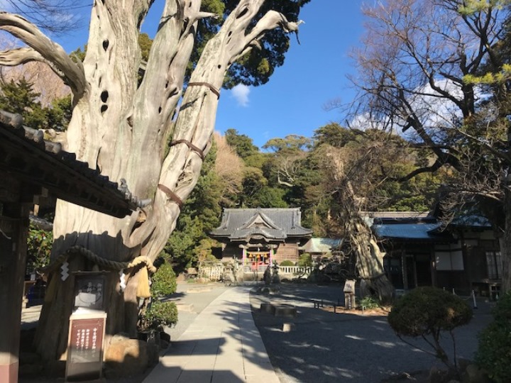 画像2