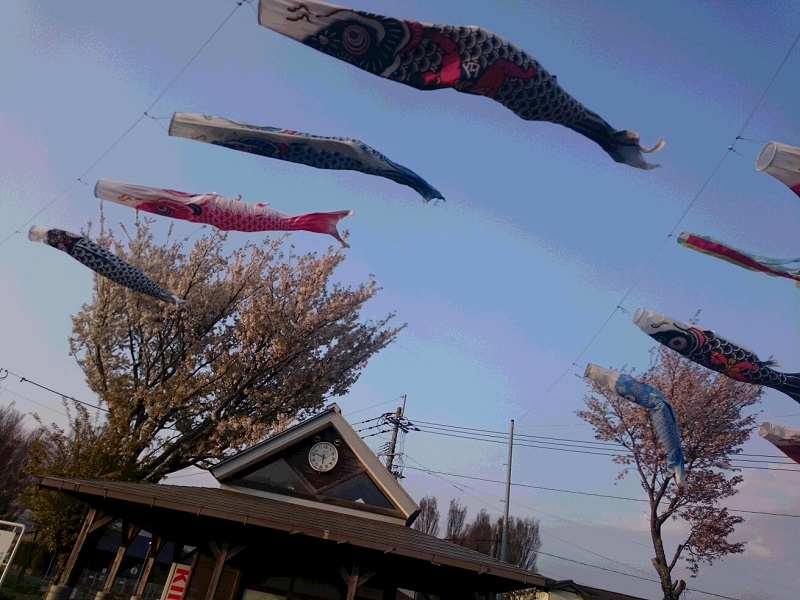 画像1