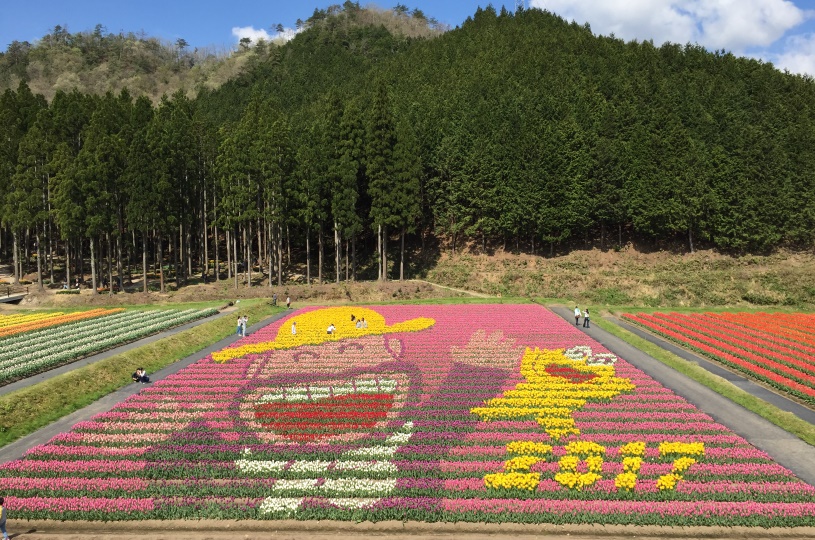 画像2
