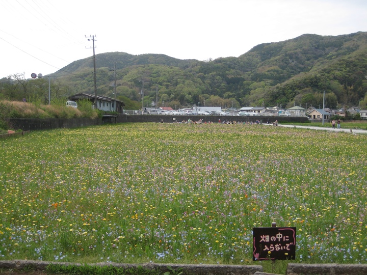 画像5