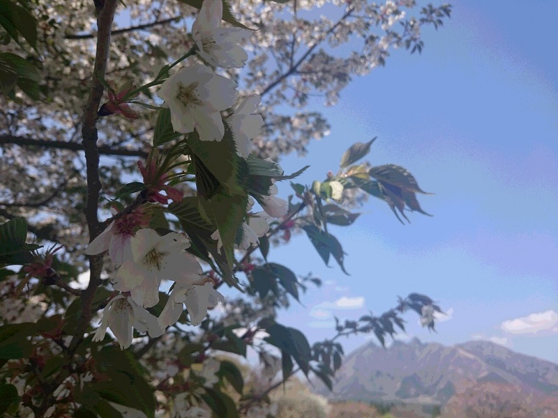 画像2
