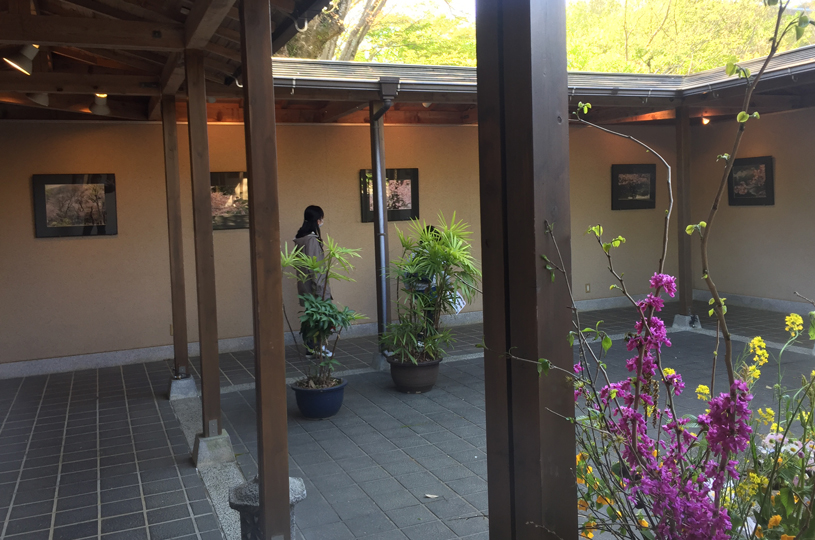 画像4