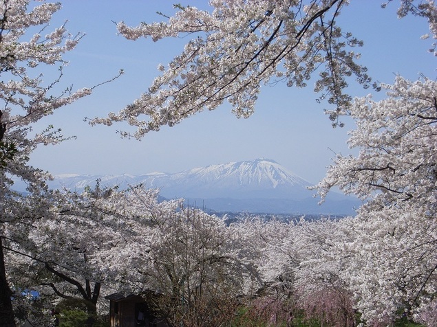 画像1