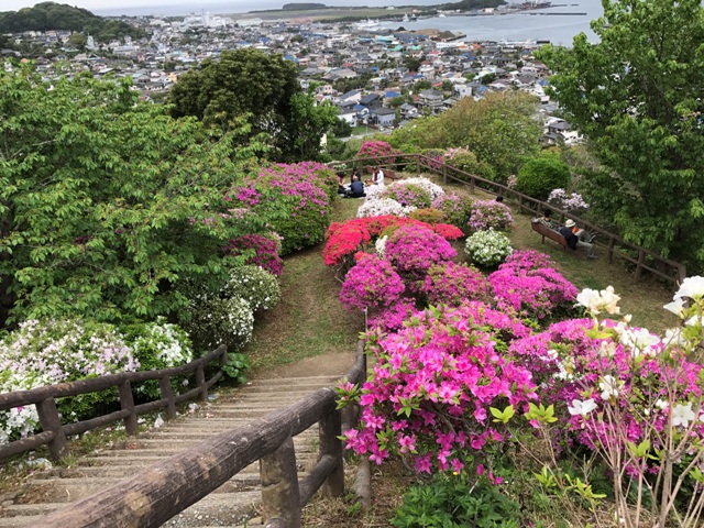 画像4