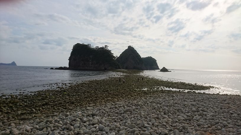 画像1
