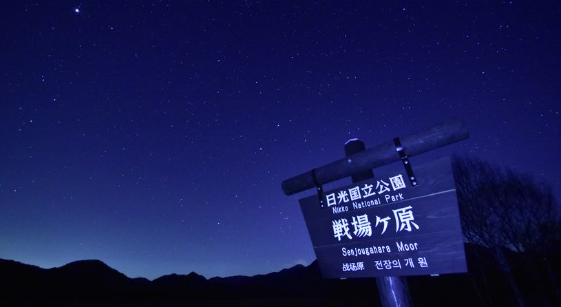 ラムサール条約登録湿地「戦場ヶ原」