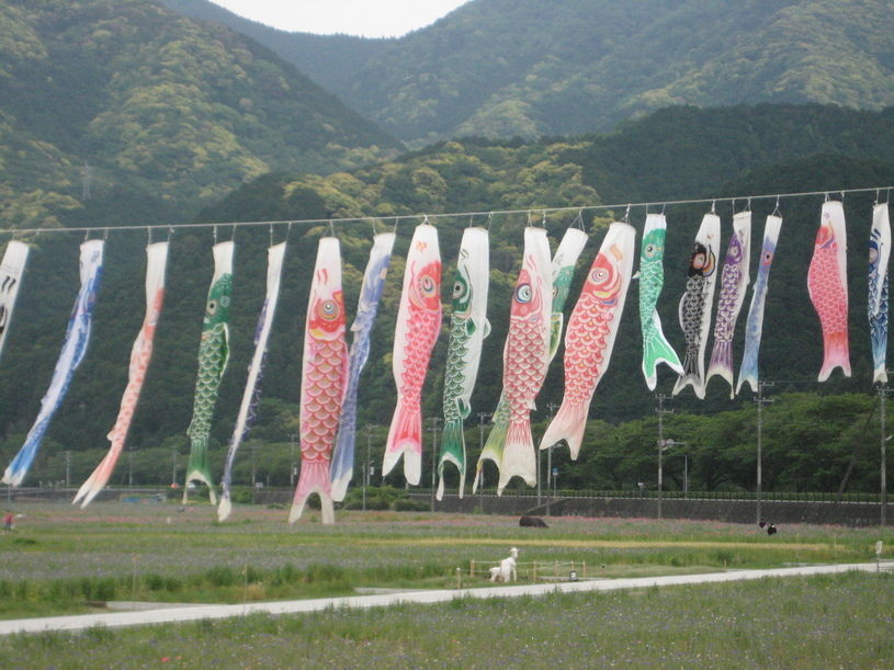 画像1