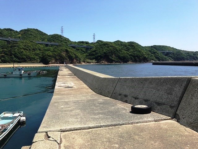 画像1