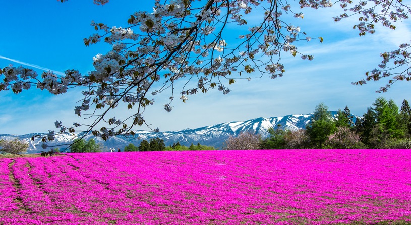 花工房　らら倶楽部
